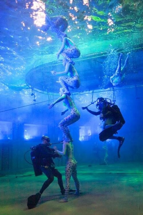 Cirque du Soleil O 3